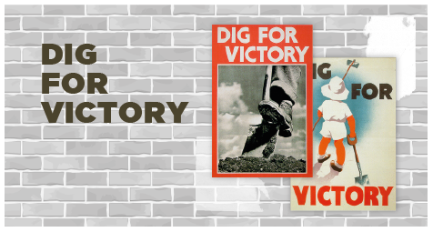 Dig for Victory 