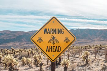 Act Now or Risk Failure: 6 Warning Signs You're Becoming Insolvent