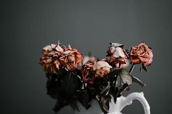 5 Reasons Why Your Social Media Strategy is Dead