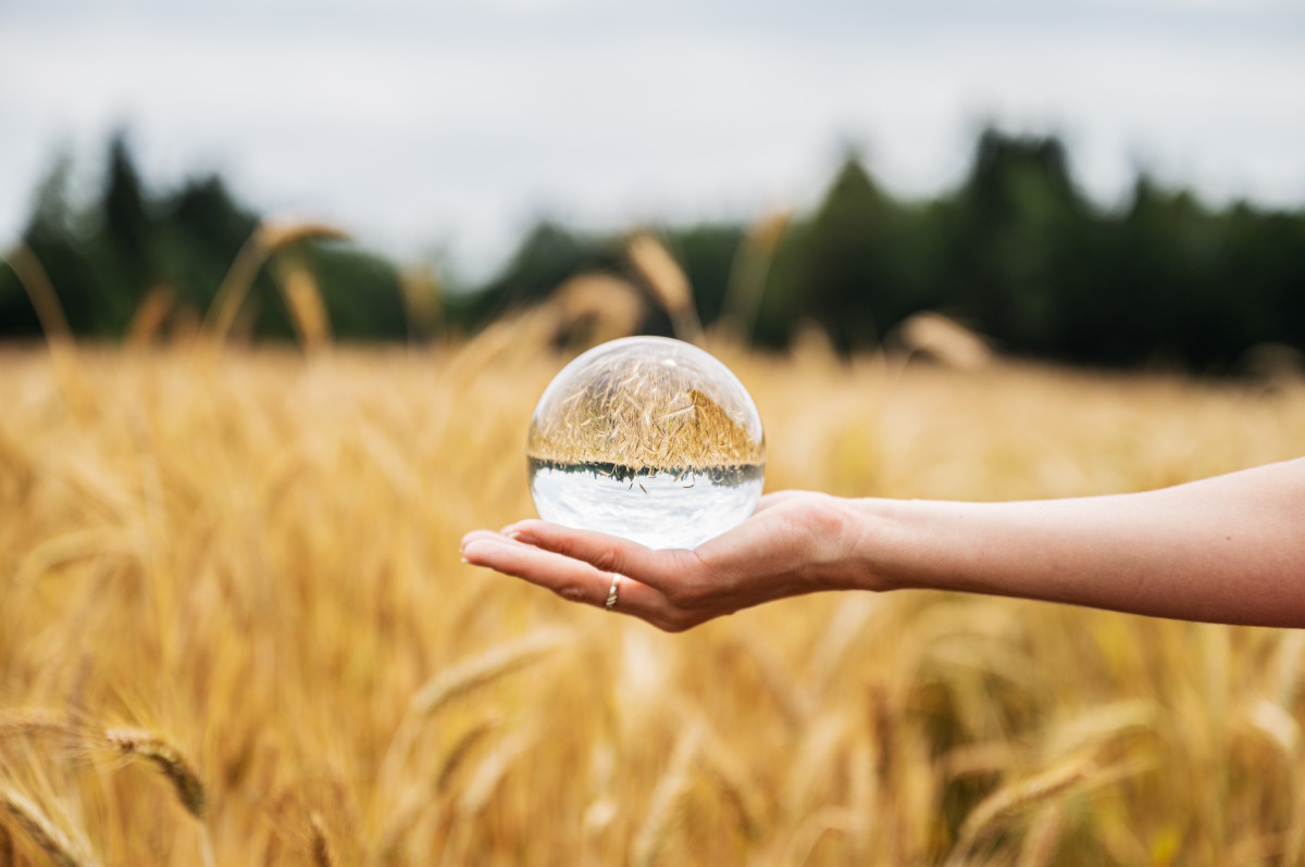 How to Design a Financial Forecasting Model for Business Insights