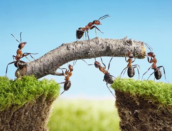 6 Team Building Activities for Your Employees