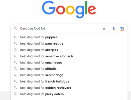 Google Autocomplete search examples