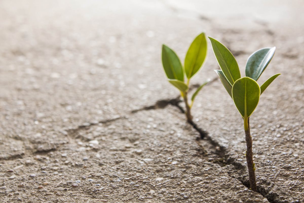How to Ask Your Employer to Fund Your Learning