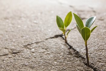 How to Ask Your Employer to Fund Your Learning