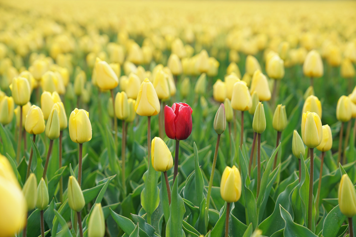 5 Ways to Make Your Event Booth Stand Out From the Crowd