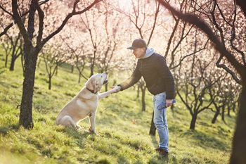 5 Types of Non-Monetary Rewards to Motivate Your Employees
