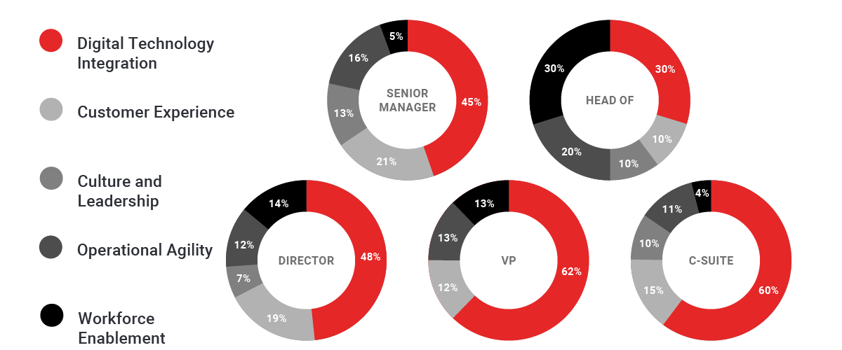 Digital transformation challenges rated across all five seniority levels
