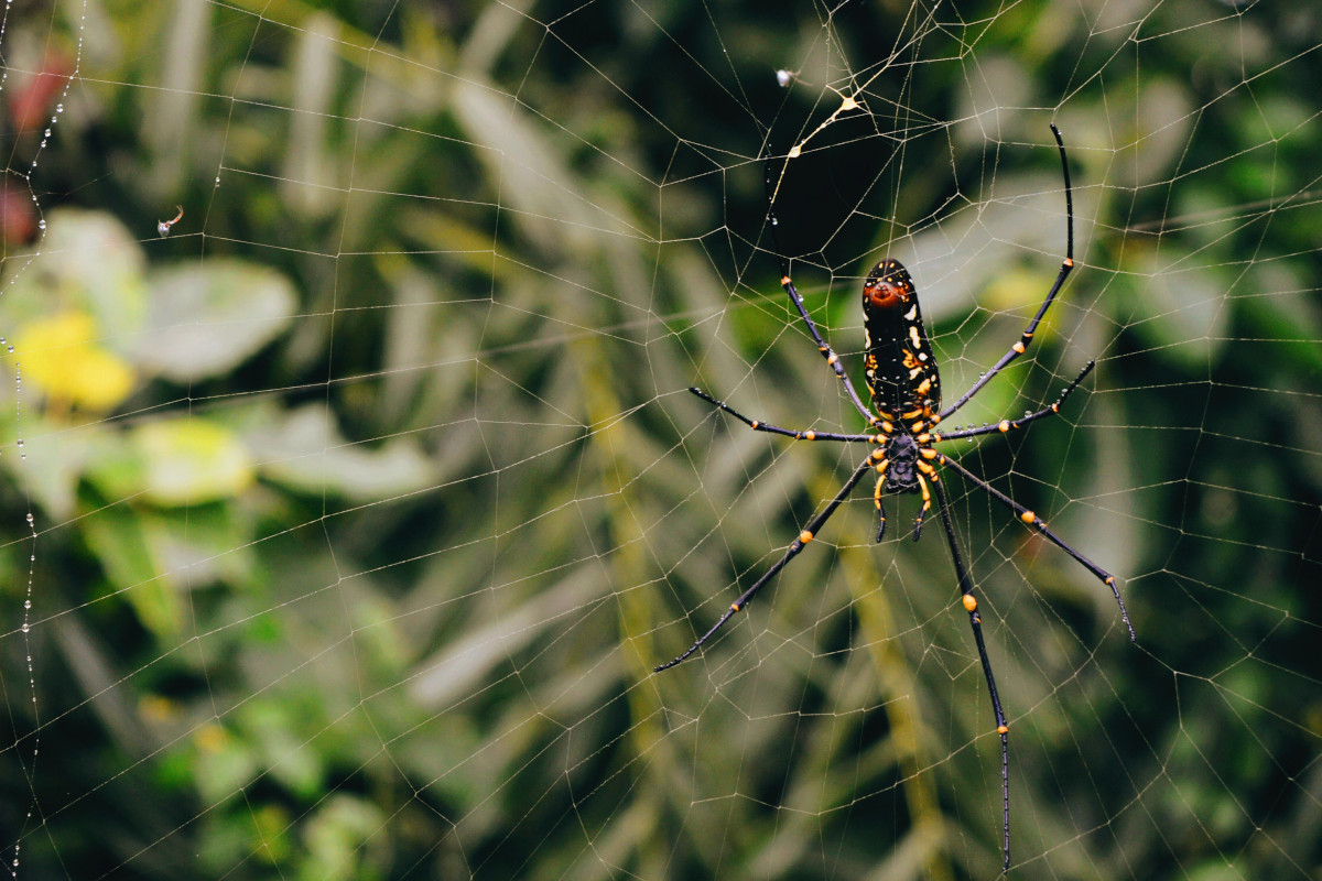 Internal Linking for SEO: Here's How to Improve Your Site