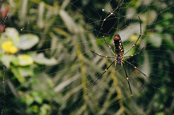 Internal Linking for SEO: Here's How to Improve Your Site