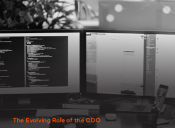 docauthority The Evolving Role of the CDO