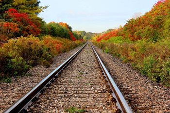 5 Ways to Get Back on Track if You’re Not Going to