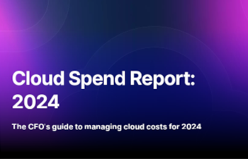Vertice - Cloud Spend Report 2024
