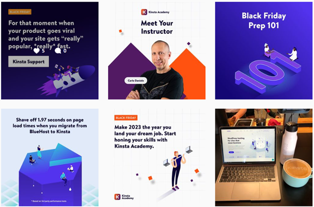 Kinsta screenshot example of using consistent colours in branding