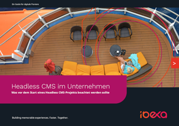 Ibexa Headless CMS in Unternehmen