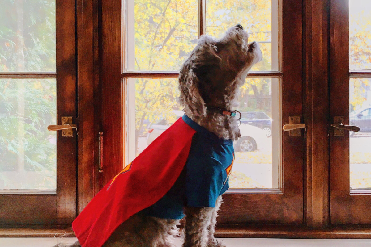 Are you a Hero or a Rebel? How to Use Different Brand Archetypes