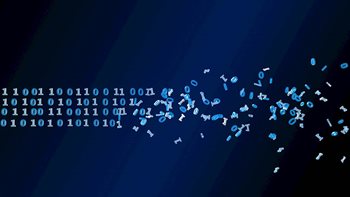 How to Prevent Data Loss