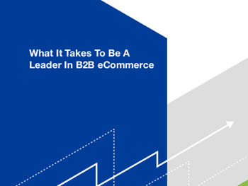 Magento What It Takes To Be A Leader In B2B eCommerce