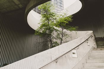 10 Green Initiatives to Inspire Businesses In 2021 