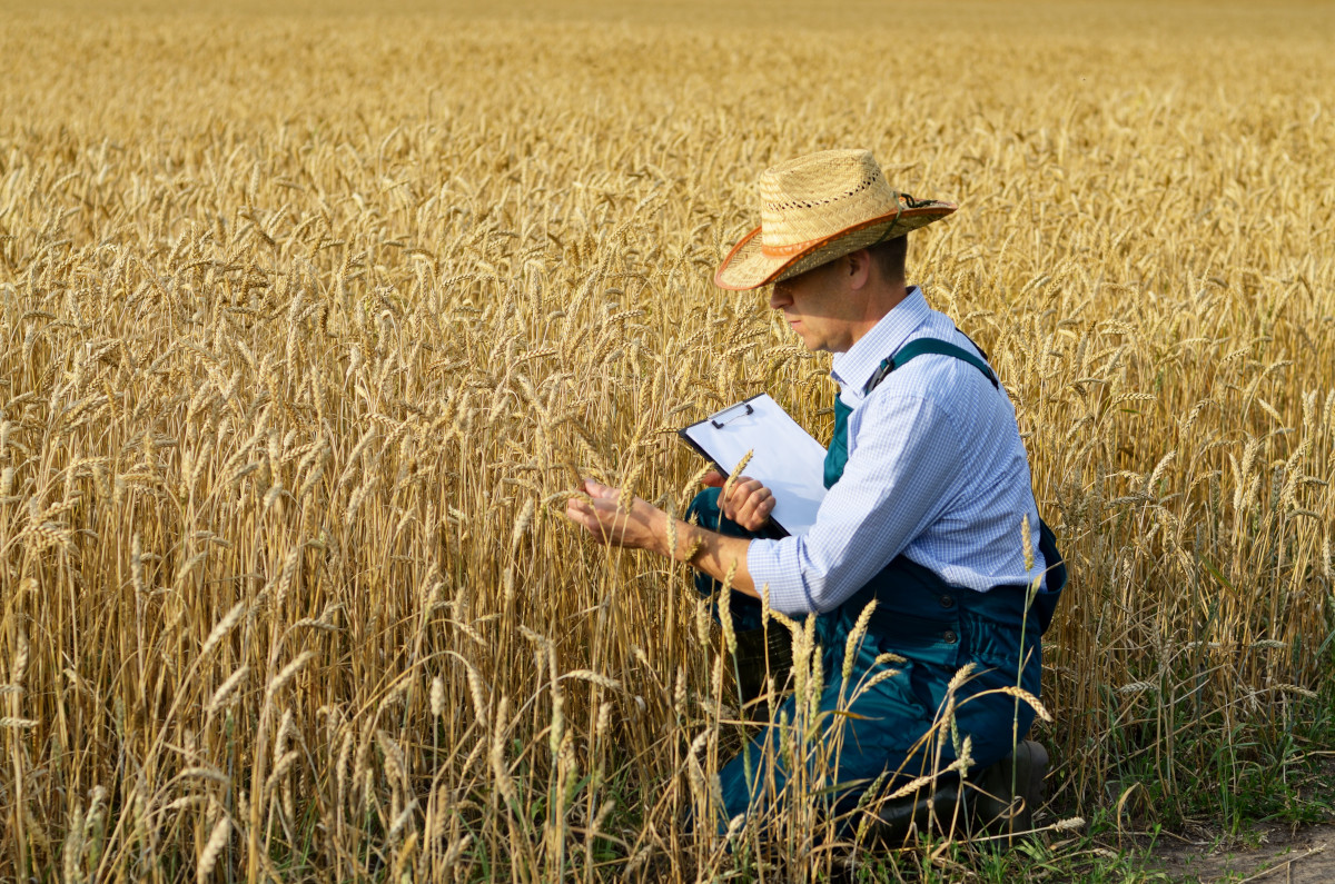 Your Go-To Checklist for Auditing