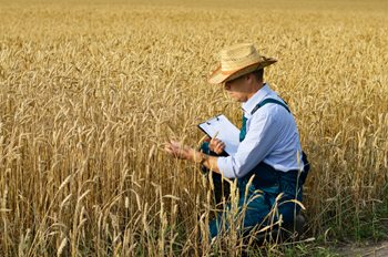 Your Go-To Checklist for Auditing