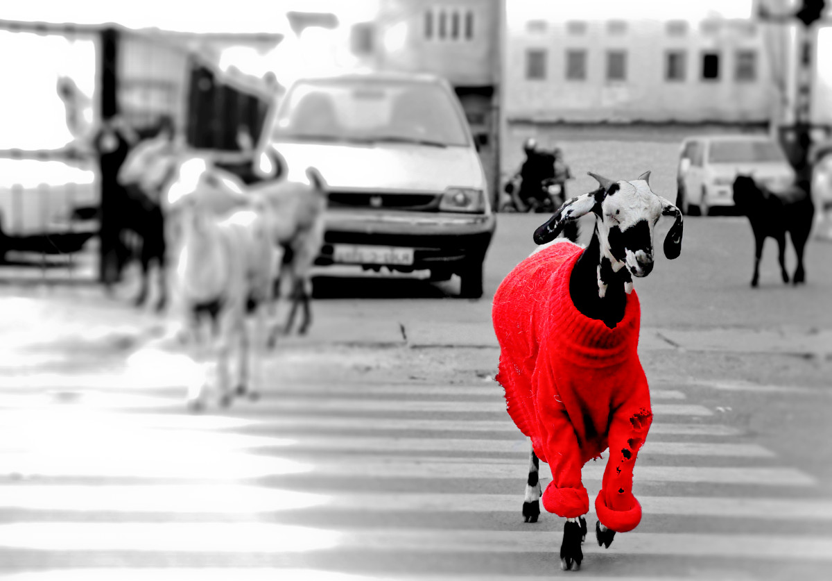 How to Stand Out in A Talent Review