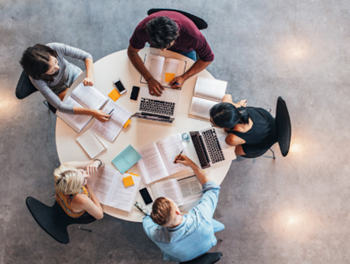 Zellis 7 Principles for Effective Diversity and Inclusion