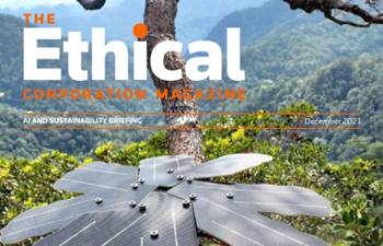 Thomson Reuters - AI and Sustainability Briefing 