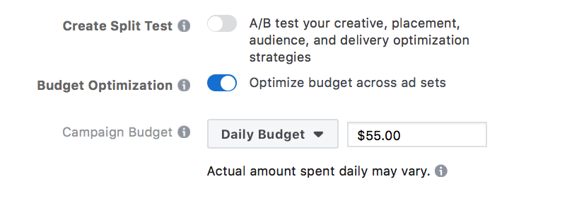 IFP - facebook ads - split testing budgeting