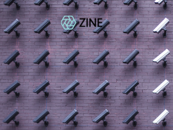 Zine How to Spot Fake Followers