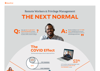 BeyondTrust The Next Normal