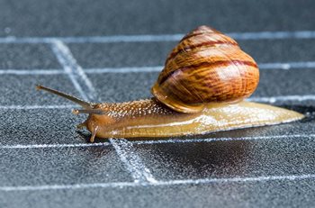 How to Manage Cash Flow When Things Are a Bit Slow