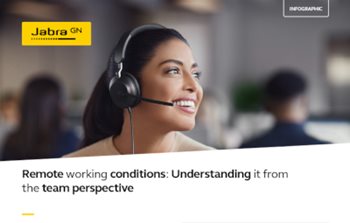Remote Working Conditions: Understanding it from the Team Perspective