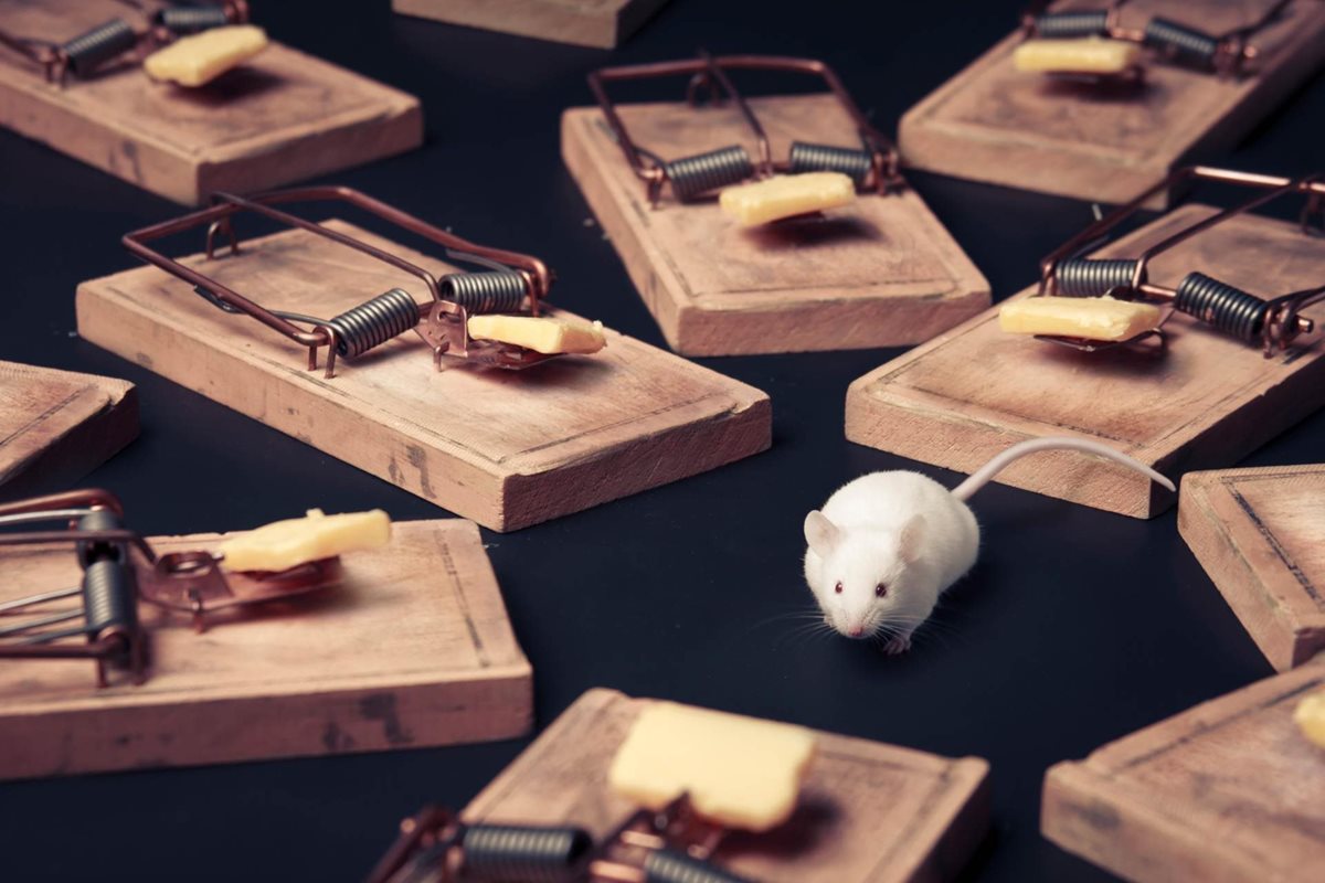 7 Traps of Managed Hosting (And How to Avoid Them)
