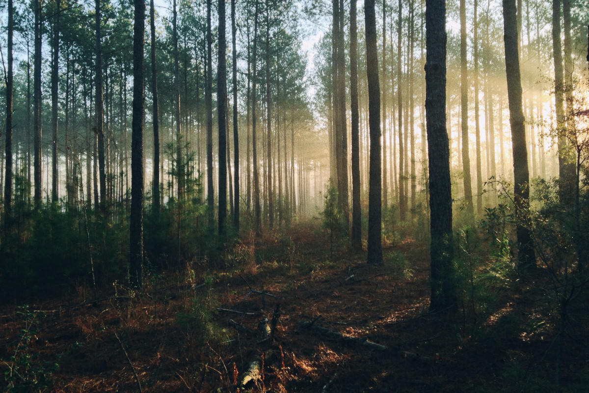 Evergreen Content 101: What is it (and Why Should You Create it)?