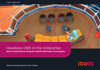 ibexa Headless CMS in the Enterprise 