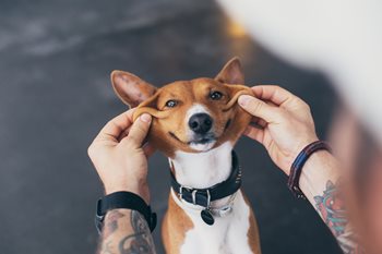 5 Things Employers Should Be Doing For Mental Health in 2020