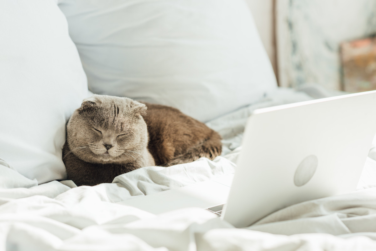 6 Hacks to Master Remote Working