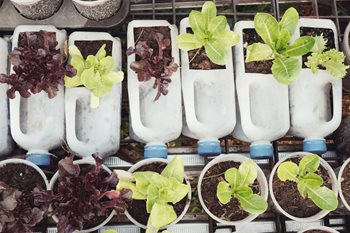 How You Can Help the Environment in Your Workplace