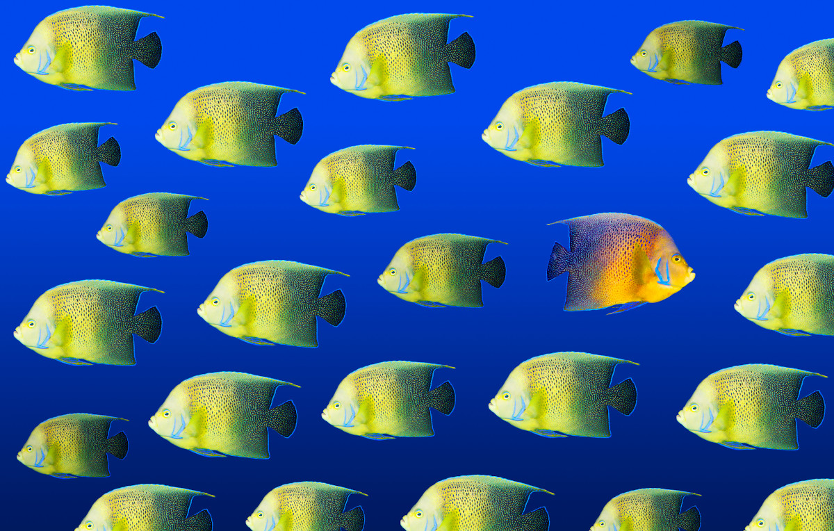 How Businesses Can Prepare for Digital Marketing Disruption