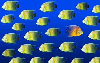 How Businesses Can Prepare for Digital Marketing Disruption