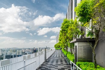 Why Job Seekers Prefer Sustainable Companies