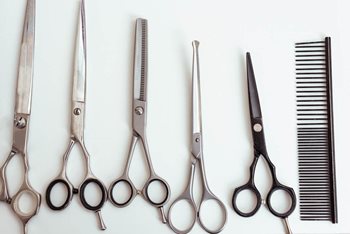 When to Cut Your Losses with Underperformers