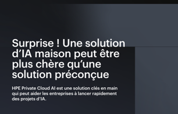 HPE - Surprise ! Une solution d’IA maison peut être plus chère qu’une solution préconçue