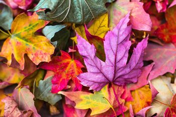 The Emotion of Color: Breaking Things Down 