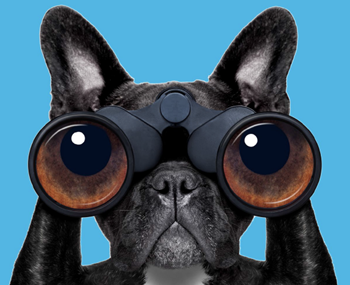 Selligent How to Find the Perfect Marketing Platform