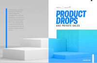 Scalefast- Product Drops and Private Sales