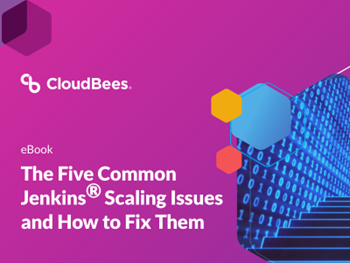 Cloudbees The Five Common Jenkins® Scaling Issues 