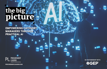 Empowering Category Managers Through Practical AI