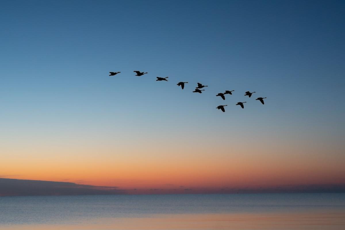 Migration Strategies: Choosing the Right Cloud Platform for Your Data