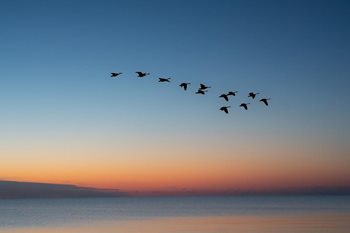 Migration Strategies: Choosing the Right Cloud Platform for Your Data